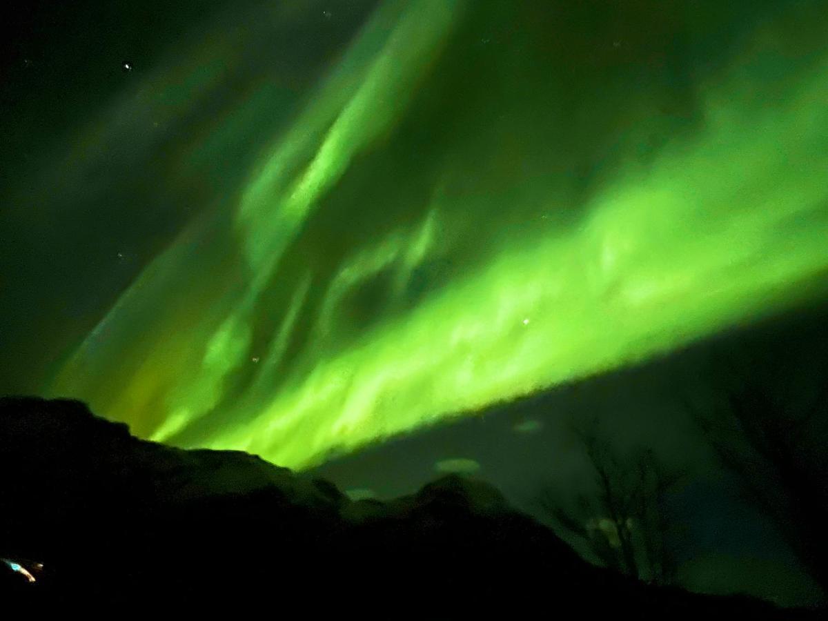Lofoten Glampingdome Myrland Exterior photo