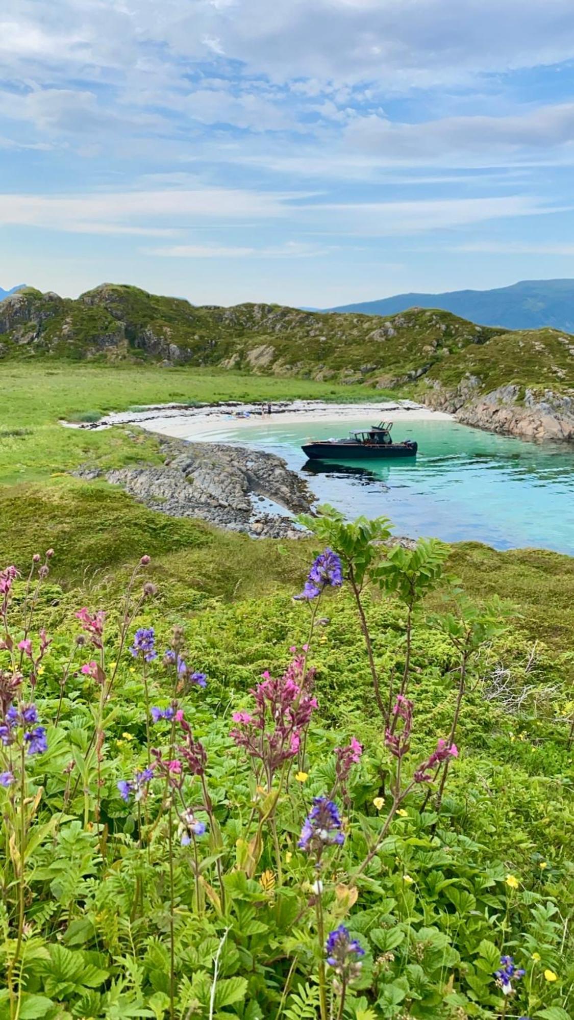 Lofoten Glampingdome Myrland Exterior photo